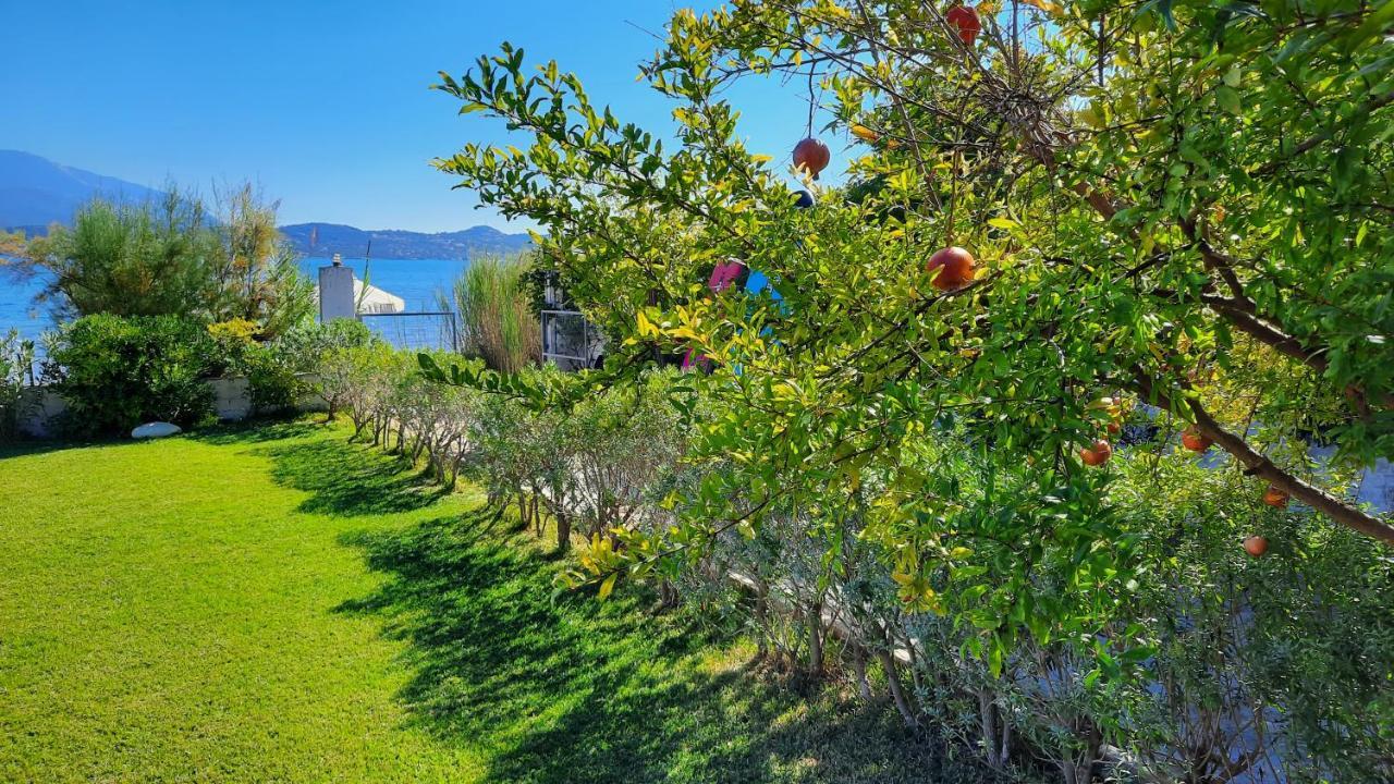 Alekos Beach Houses-Alekos Beach Complex Lixouri Exterior foto